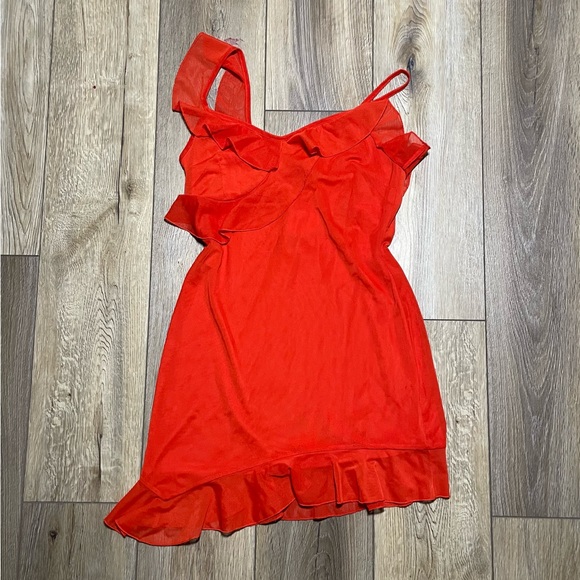 Mesh Dress - Picture 1 of 4